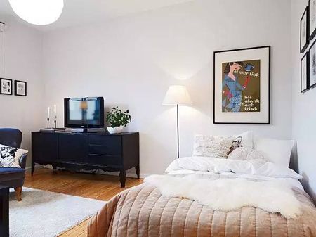 单身公寓装修案例