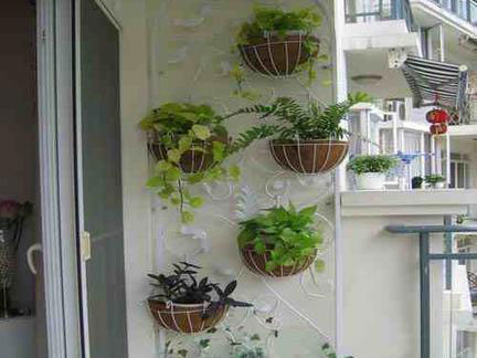 阳台小没法种花