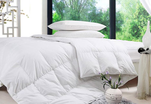 哪些家居物品容易滋生细菌