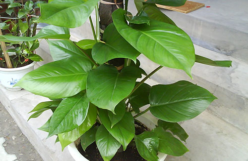 卫生间装修设计