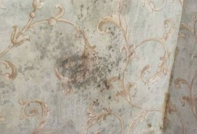 墙纸为什么起泡翘边,墙纸施工注意事项