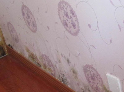 ��ֽ��ù������ô��