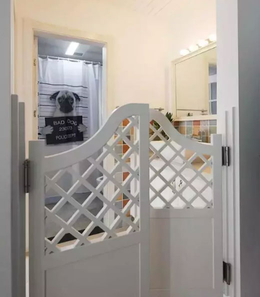 房子装修的太漂亮