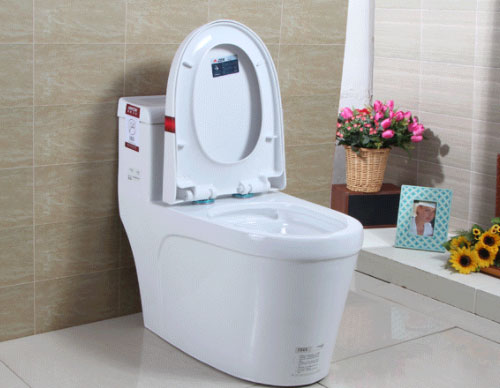 卫生装修装马桶还是装蹲坑