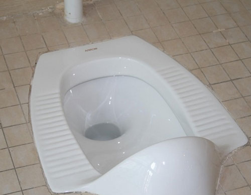 卫生装修装马桶还是装蹲坑