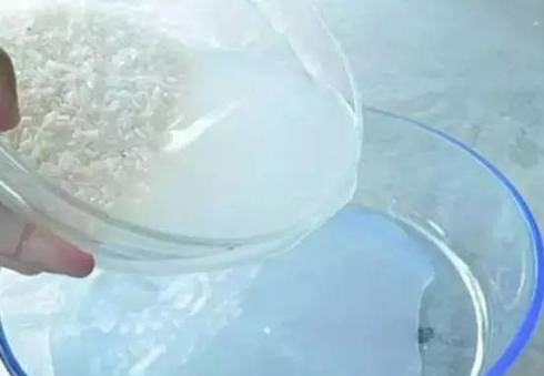 淘米水浇花的方法