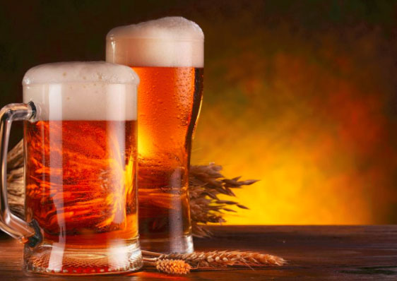 盆栽植物要喝酒