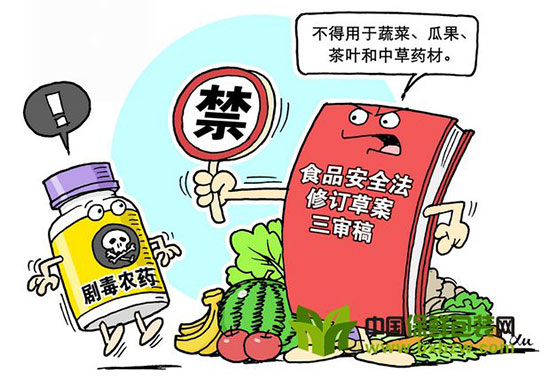 清除蔬菜农药残留