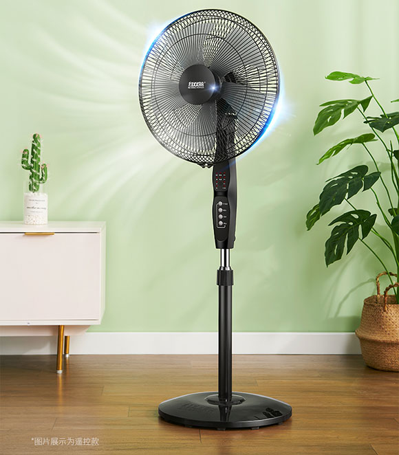 五叶遥控落地扇