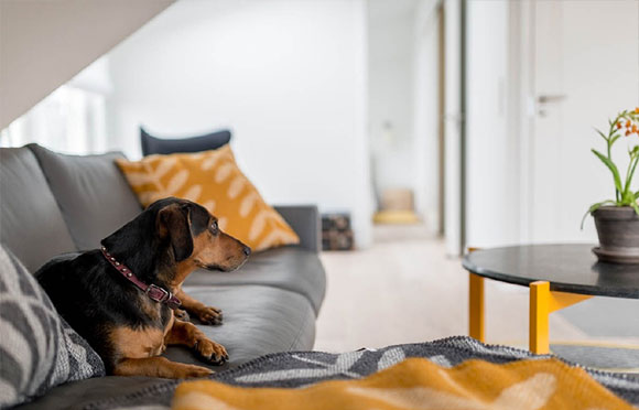 小阁楼怎么装修