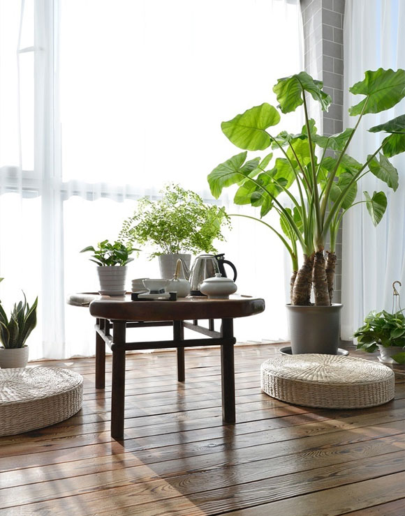 简约风格两房装修