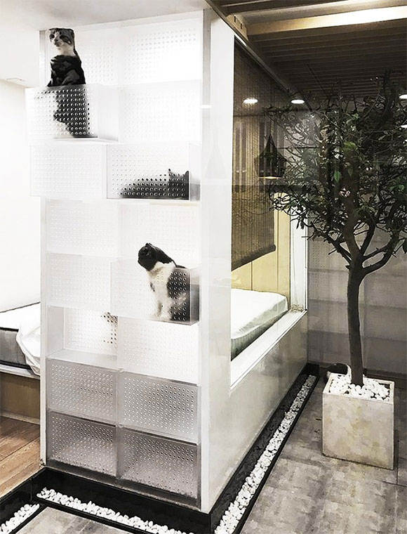 单身公寓装修设计