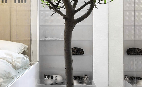 单身公寓装修设计