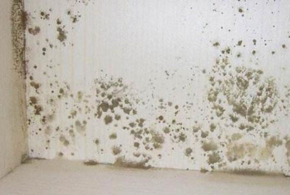墙面受潮怎么办,墙面受潮处理方法