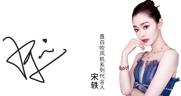 直白大功率速干负离子不伤发吹风机/吹风筒/电吹风