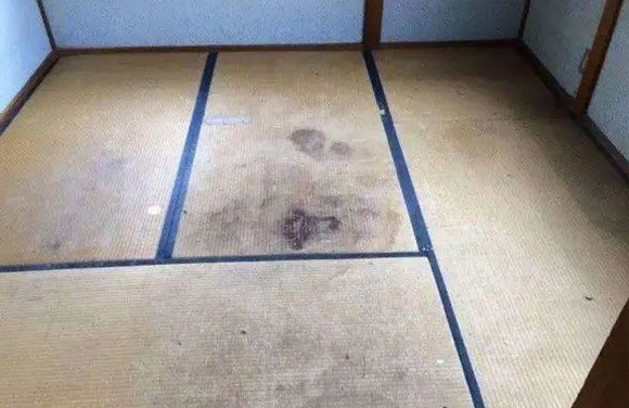 榻榻米装修,家里能不能装榻榻米