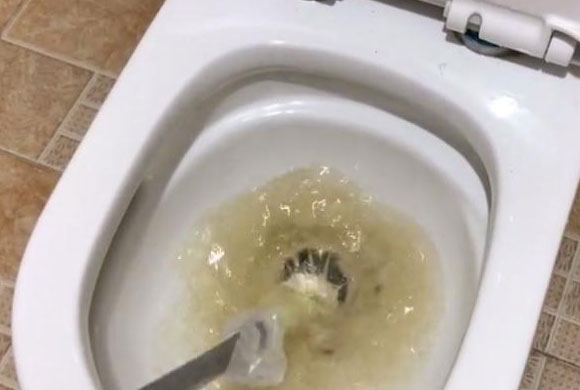 马桶堵了怎么办?疏通马桶工具都需要哪些?