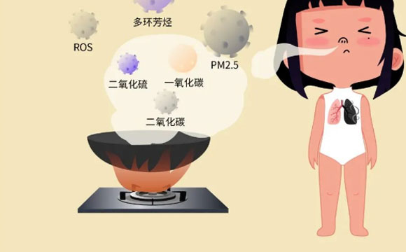 侧吸式/顶吸式吸油烟机哪个好