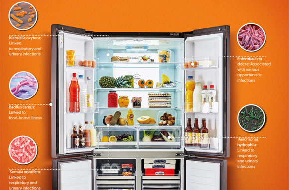 冰箱细菌威胁