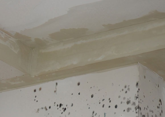 夏季装修需要注意的5件事