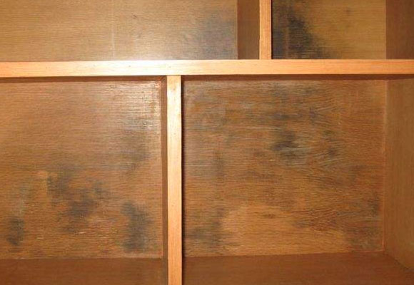 柜子发霉怎么办