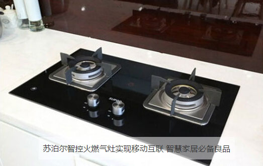 苏泊尔