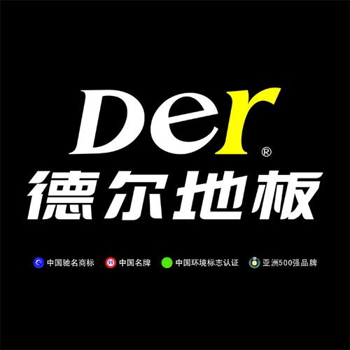 德尔未来科技控股集团股份有限公司